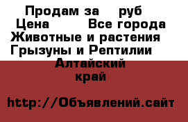 Продам за 50 руб. › Цена ­ 50 - Все города Животные и растения » Грызуны и Рептилии   . Алтайский край